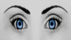 verwondering1